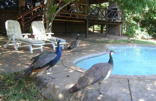 Komatipoort Apartment | Orchards Farm Cottages