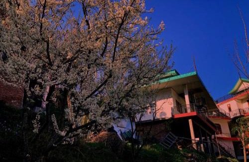 Kandaghat Bed & Breakfast | Orchid Homestay