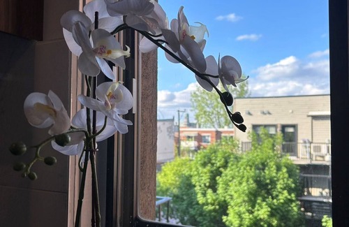 Plateau Mont Royal Apartment | Orchid Lodgement Montreal