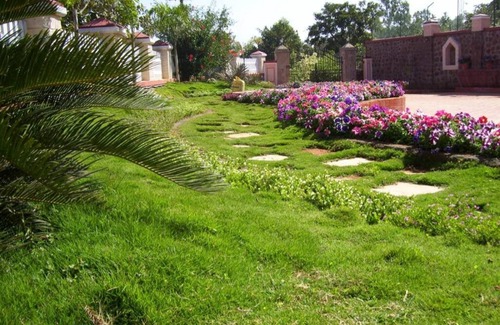 Bhilar Villa | Orchid Villa by Ebony Stays – Mahabaleshwar Bliss with Sunsets & Comfort