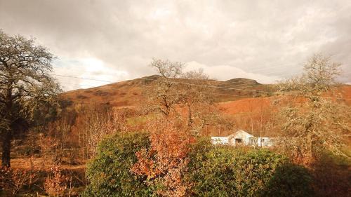 Dalmally Bed & Breakfast | Orchy Bank House