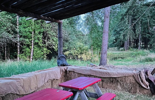 Oregon City House | Oregon Trail Covered Wagon by the Creek