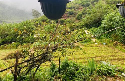 Nuwara Eliya House | Orino Cabana
