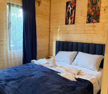 Khelvachauri Ski Chalet | Orion Palace