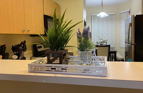 Kissimmee House | Orlando-Kissimmee Disney Best Experience