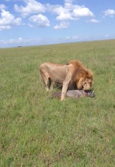 Maasai Mara House | Orpul safaris camp