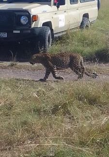 Maasai Mara House | Orpul safaris camp