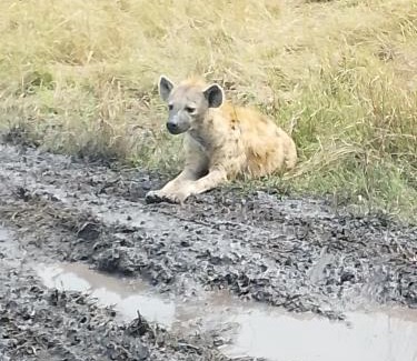 Maasai Mara House | Orpul safaris camp