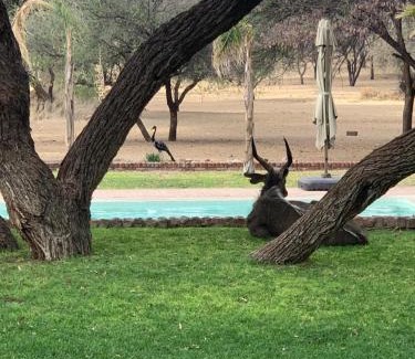 Otjiwarongo Cabin | Otjibamba Lodge