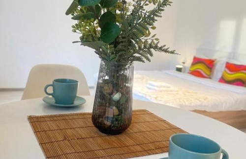 Otopeni Apartment | Otopeni Studio C2 4 Airport Therme