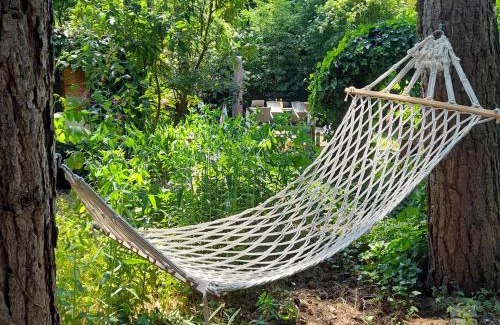 Oud-Turnhout House | Oud-Turnhout Nature Chalet