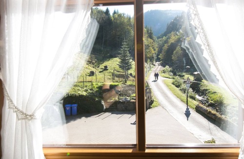 Simonswald Apartment | Our adjacent forests are a paradise for nature lovers and hikers.