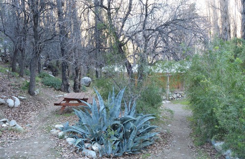 Paiguano Cabin | Our cabin in the Elqui Valley