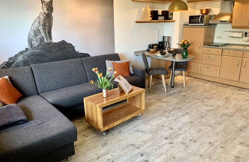 Sankt Andreasberg Apartment | Our FeWo Luchsbutze - right on the forest, with balcony, garage u. WIFI