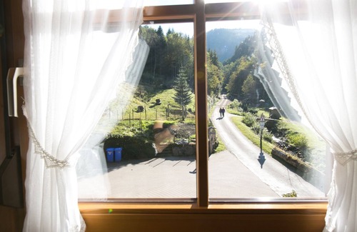 Simonswald Apartment | Our neighboring forests are a paradise for nature lovers and hikers.