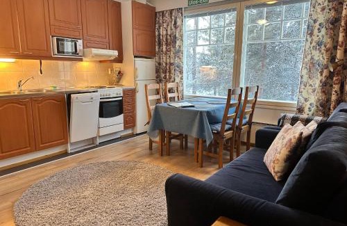 Saariselka Apartment | Outapailakka K19