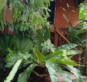 San Pu Loei Other | ouychai resort home stay