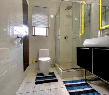 Greater Johannesburg Metropolitan Area Apartment | Ovic’environ