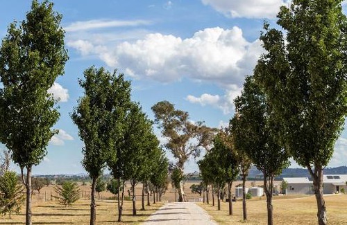 Gulgong Cabin | Owl Head Lodge