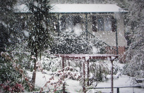 Katoomba Cottage | Owls Cottage Katoomba