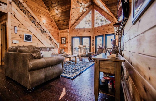 Blue Ridge House | Owls & Friends ~ Mountain Haven on Toccoa Rivern