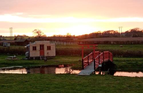 Lyonshall Other | Ox Box Cabin Lyonshall Kington