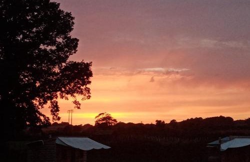 Lyonshall Other | Ox Box Cabin Lyonshall Kington