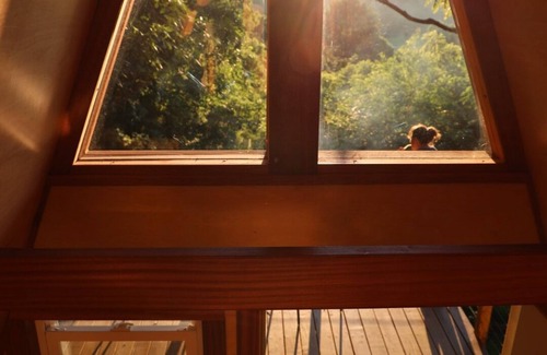 Frazeysburg Cabin | Oxley in the Woods: Off-Grid A-Frame Treehouse nestled in the woods