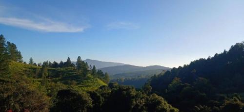 Hewaheta Other | OYA LANGA HENA - Green Park