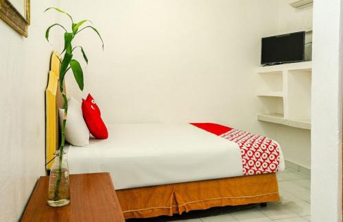Ildefonso Green Hotel | OYO Hotel Cabo Del Sur, Cabo San Lucas