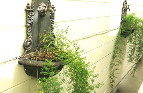 Pacific Heights Apartment | Pacific Height Old World Studio Pvt Entrance