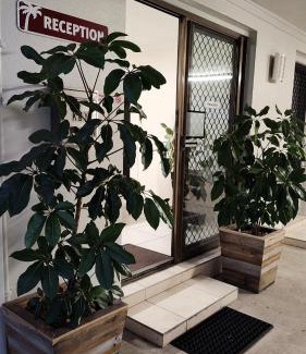 Marcoola Hotel | Pacific Palms Motor Inn