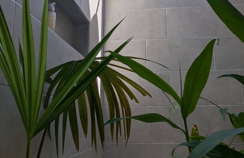 El Valle Hostel | Pacific Waves Hostel & Surf