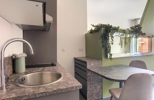 Jean-Medecin Apartment | Palais Gioffredo place Massena
