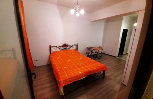 Iasi Apartment | Palas Studios