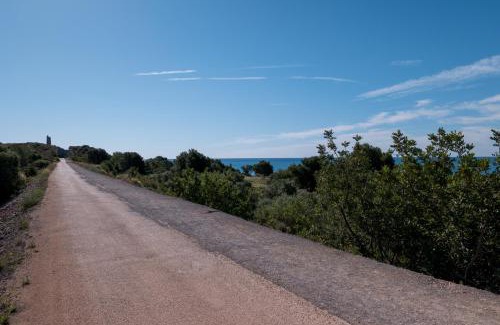 Benicassim Hotel | PALASIET Wellness Clinic&Thalasso 4 SUP