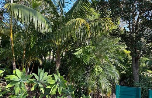 Palm Beach Bed & Breakfast | Palm Beach Bed & Breakfast