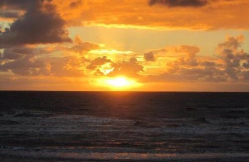South Shore Hotel | Palm Beach Hotel by the Sea