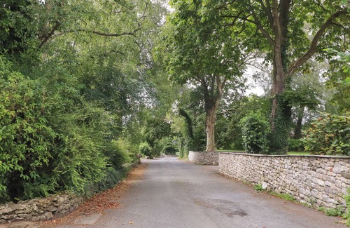 Burton Cottage | Palm Court
