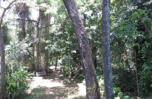 Palm Cove House | Palm Cove Rainforest Cottage