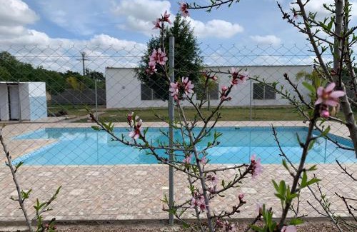 Sidi Hajjaj Oued Hassar House | Palm Grove Farm