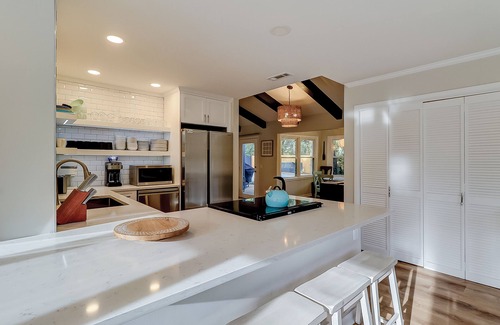 Oceanside House | Palm-lined hideaway with pool, hammock, & spacious interior - dog-friendly