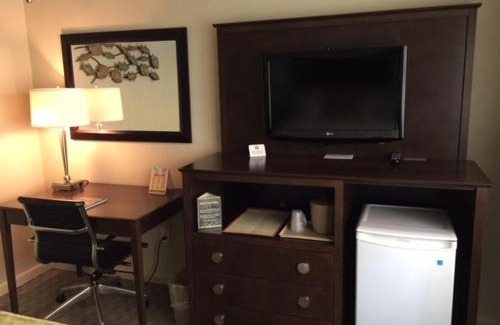 Clearwater Beach Hotel | Palm Pavilion Inn