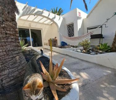 Bahia Calma Apartment | Palm Point
