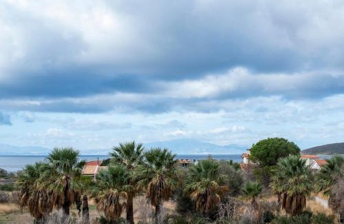 Marmari Villa | Palm Tree Beach Villa