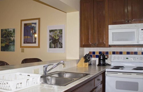 Candelero Abajo Apartment | Palm View