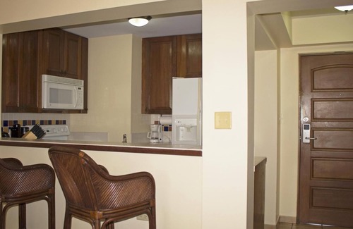 Candelero Abajo Apartment | Palm View