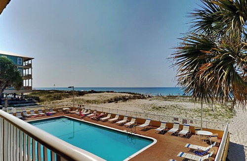 Gulf Shores Condo | Palm View | Serene Views, Cozy Interior, Near Area Fun!