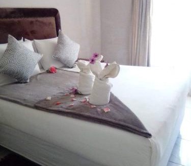 Harare East House | Palm villa