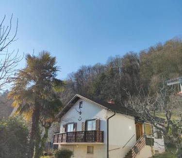 Rheinfelden House | Palmehüüsle